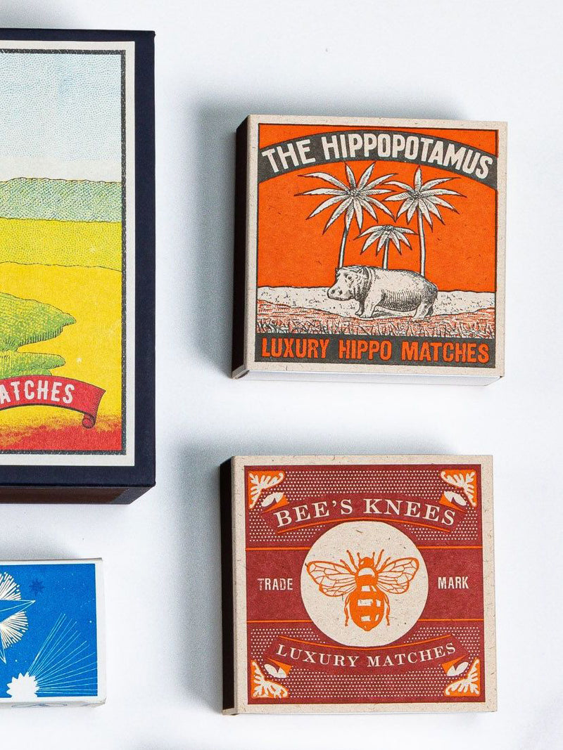 Hippopotamus matches