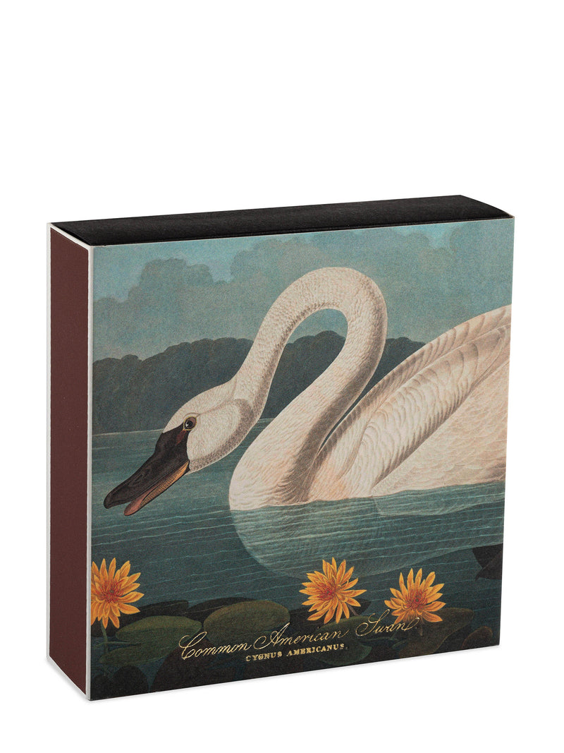 The Common American Swan matches by Audubon