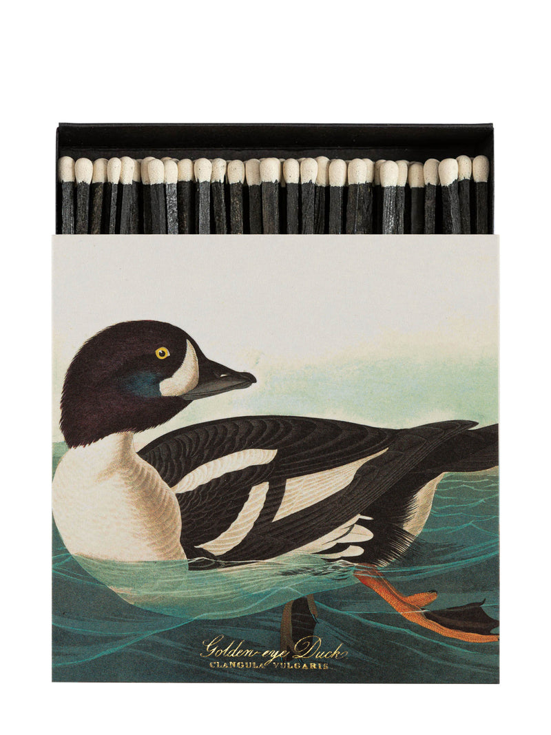 Golden-Eye Duck Matches by Audubon