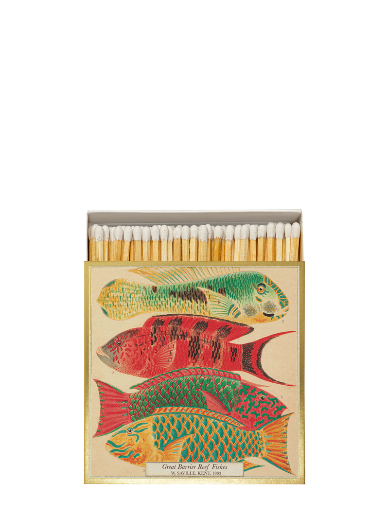 Fish Natural History Museum matches