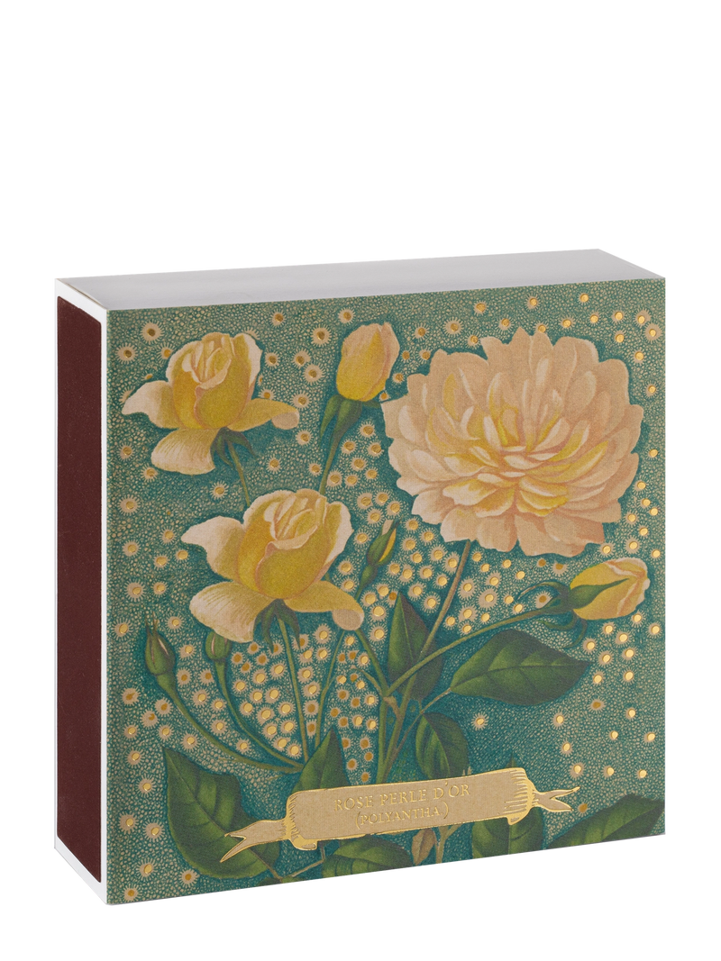 Rose perle d’or matches