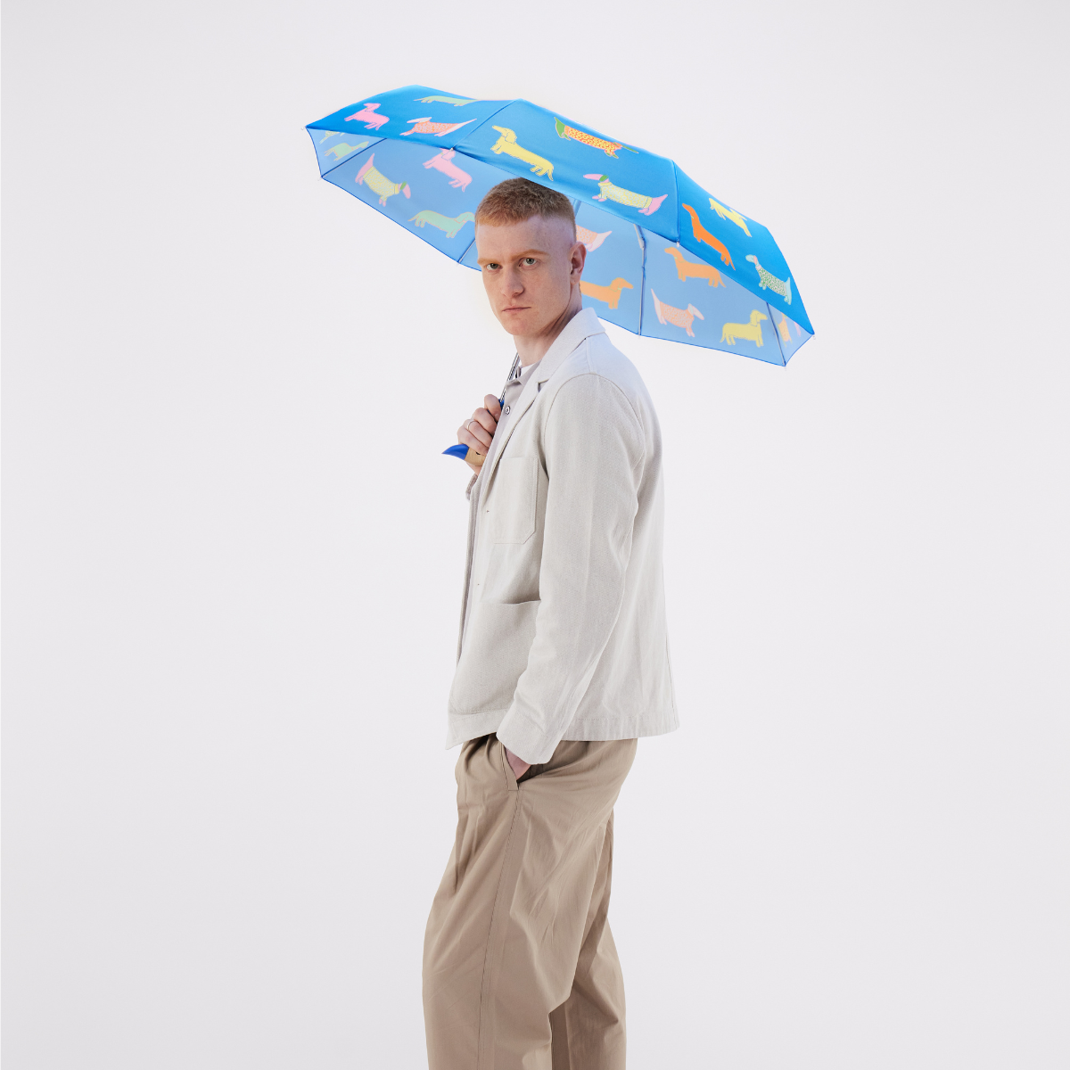Dachshund print duck umbrella, dogs in blue