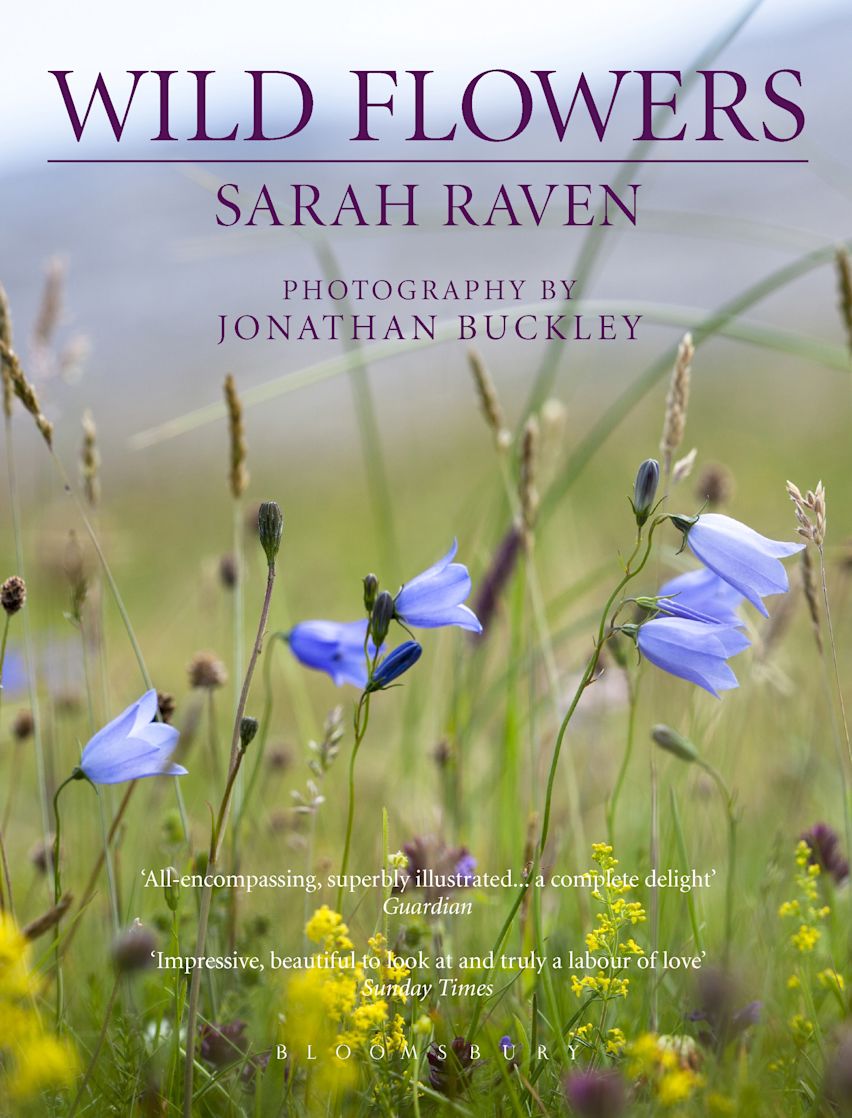 Wild flowers