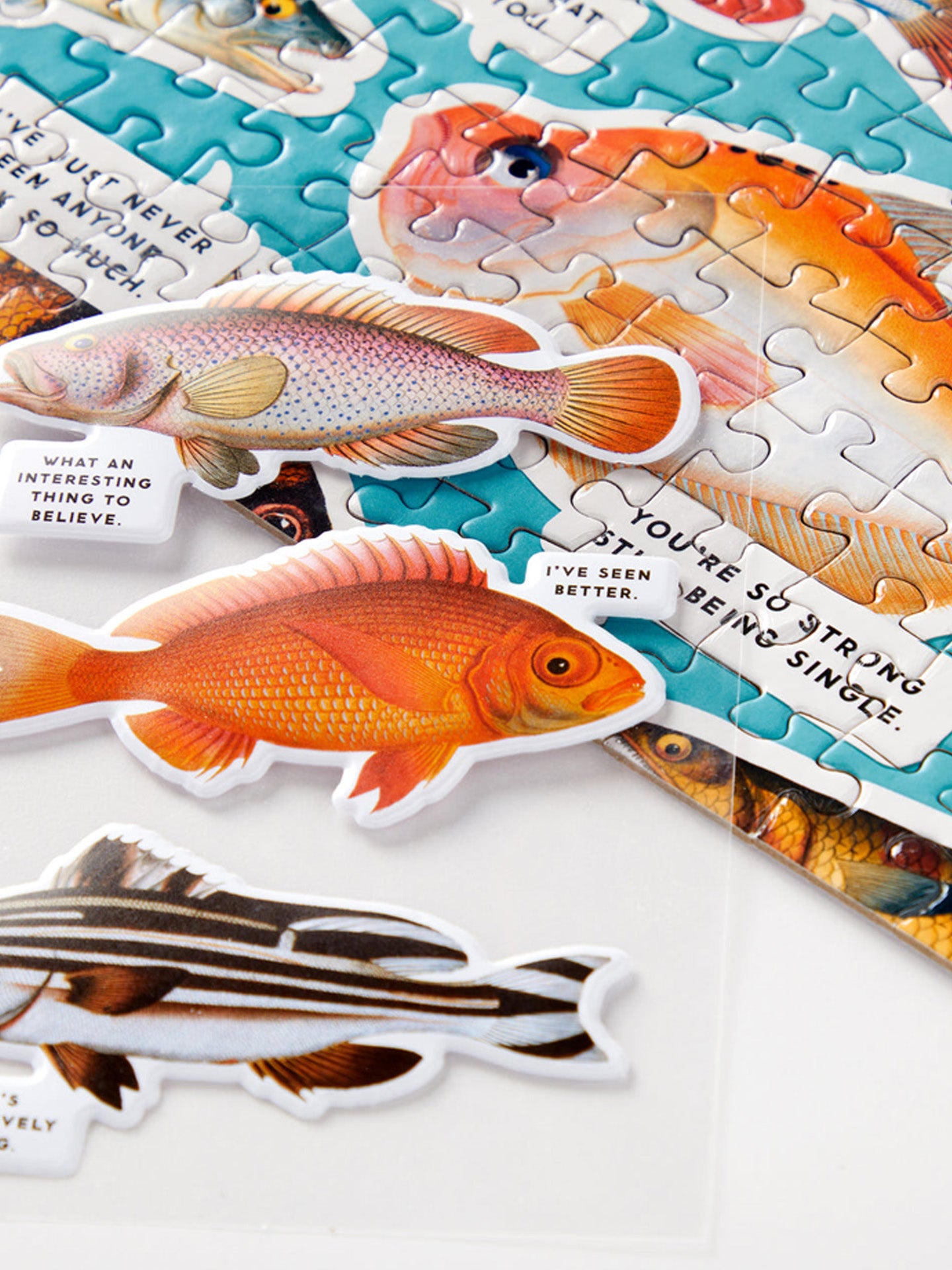Judgy fish puzzle (1000 pcs)