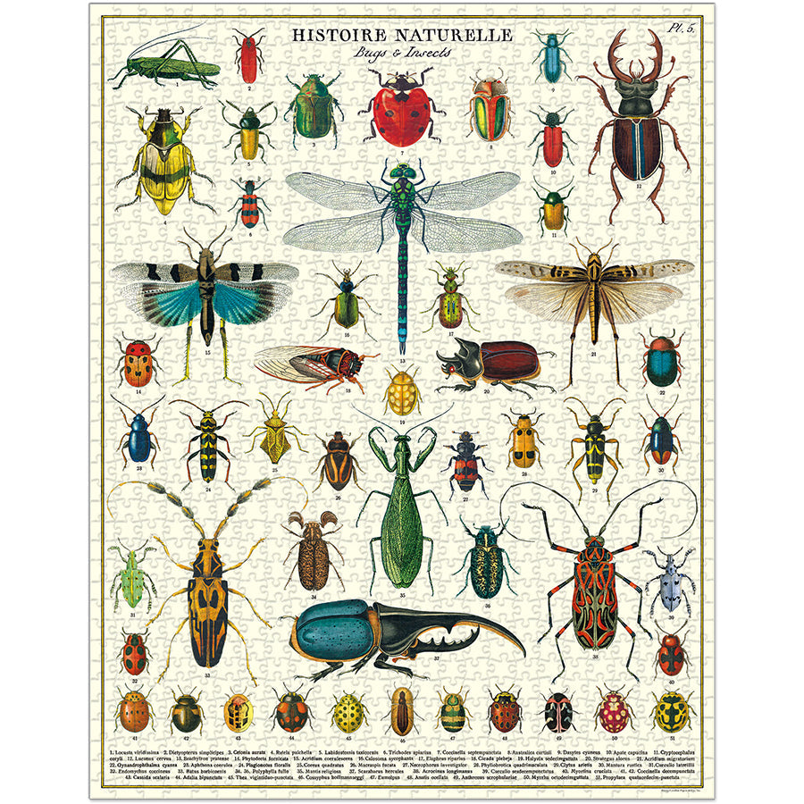 Vintage puzzle, Bugs & insects (1000 pieces)