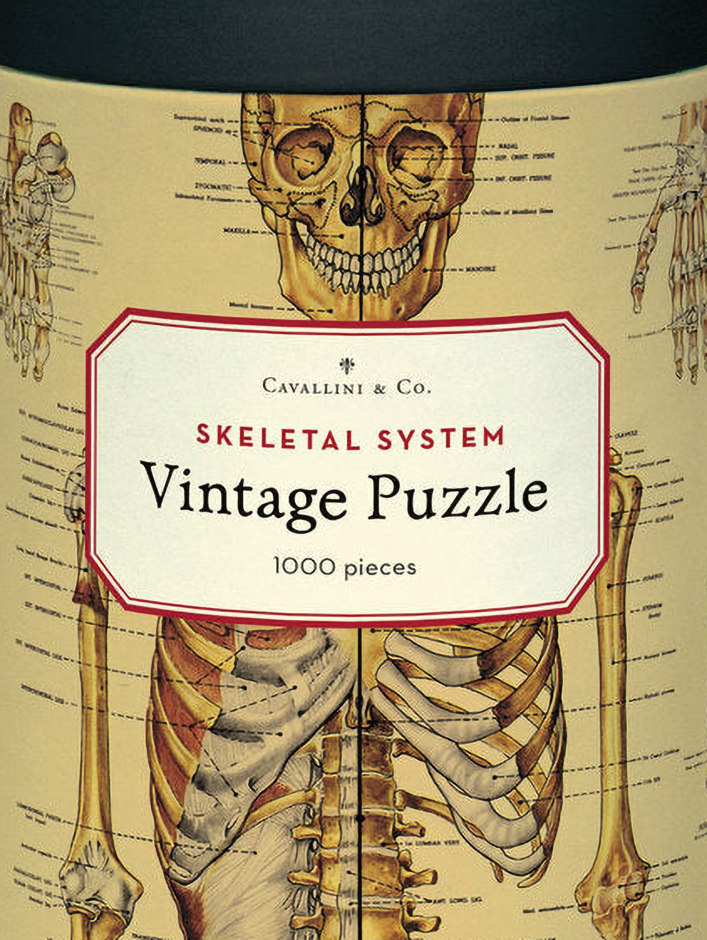 Vintage puzzle, Skeletal system (1000 pieces)