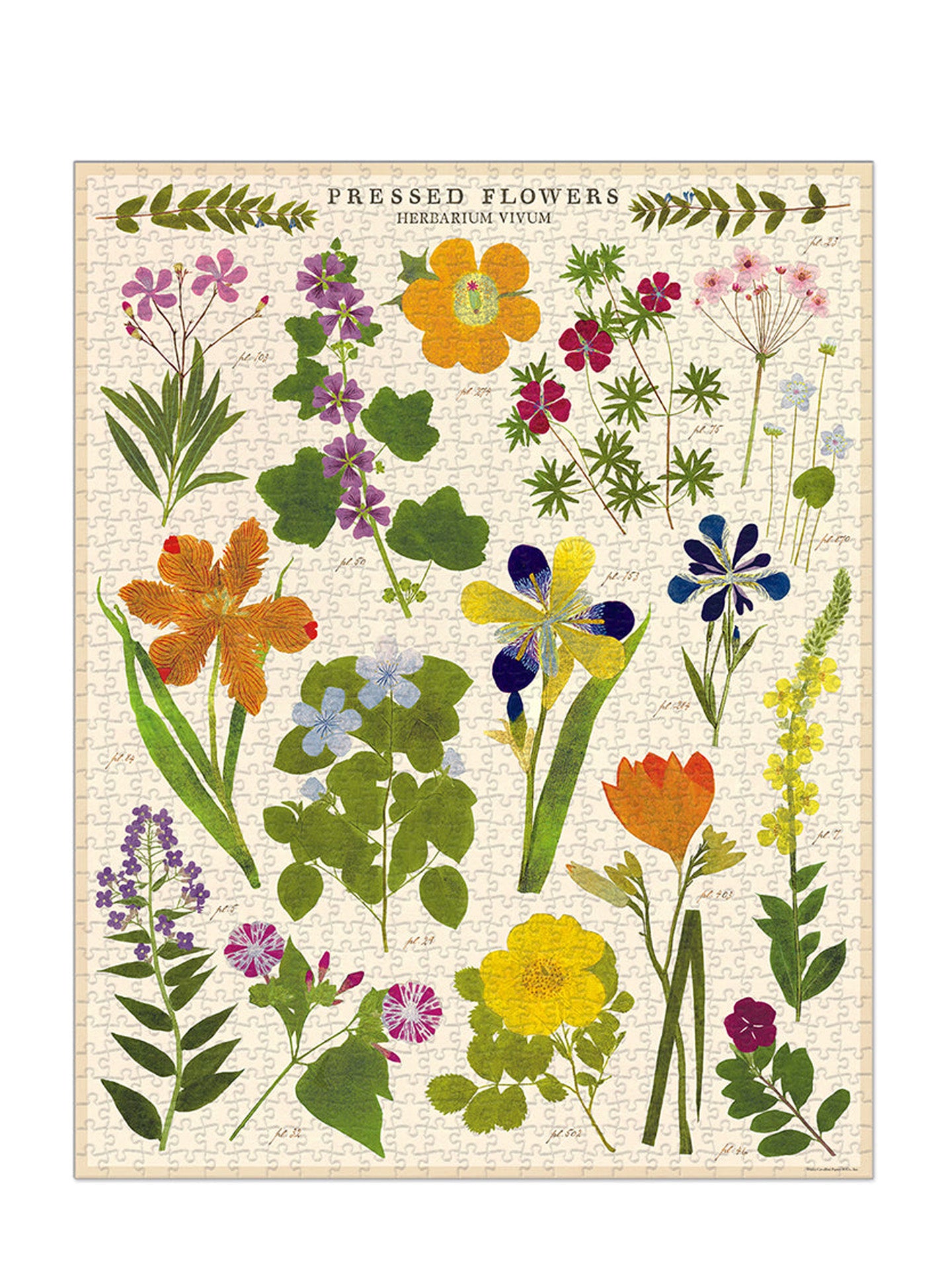 Vintage puzzle, Pressed flowers (1000 pcs)