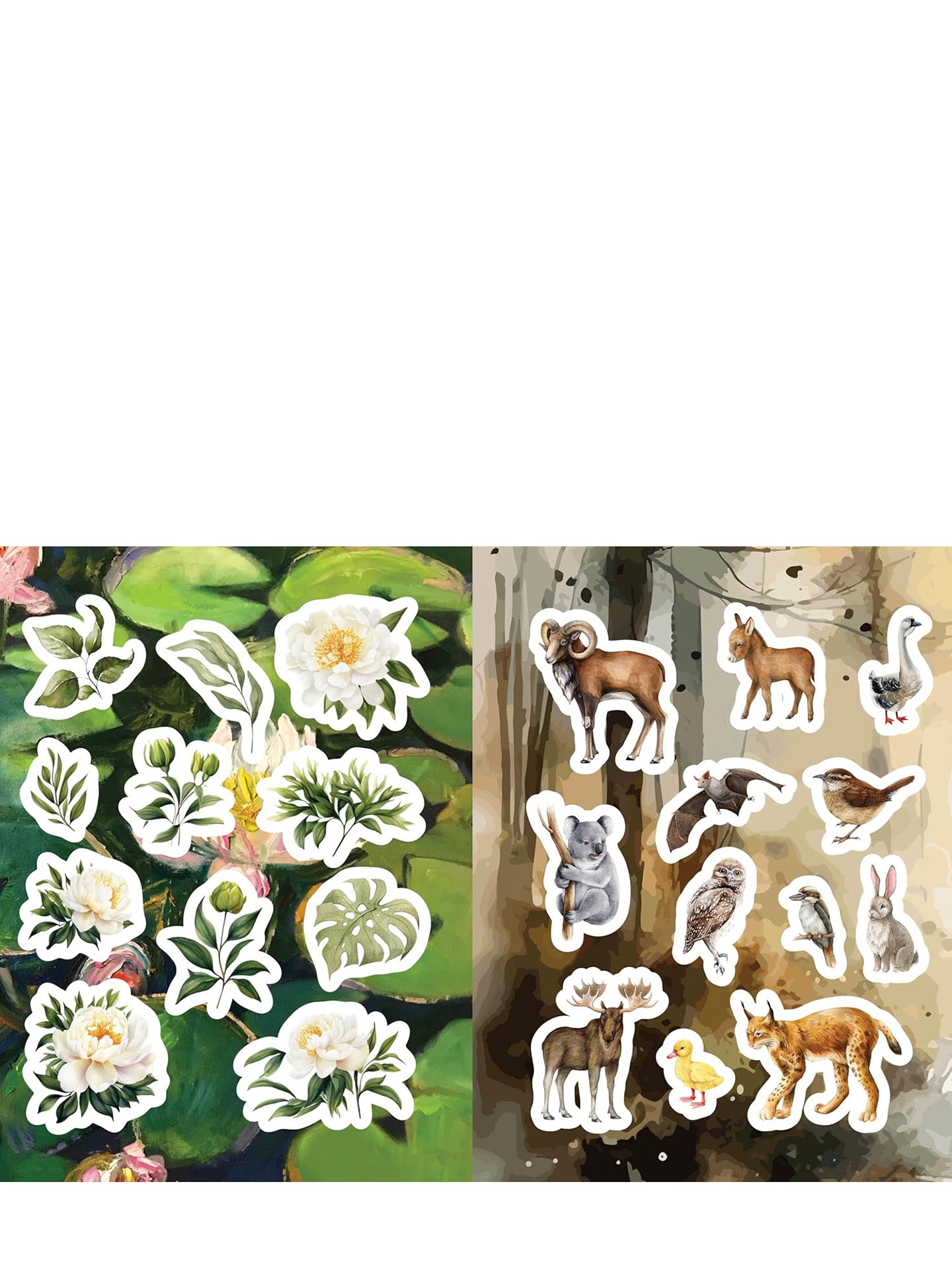 Flora, Fauna, Botanicals, and Bees Sticker, Color & Activity Book