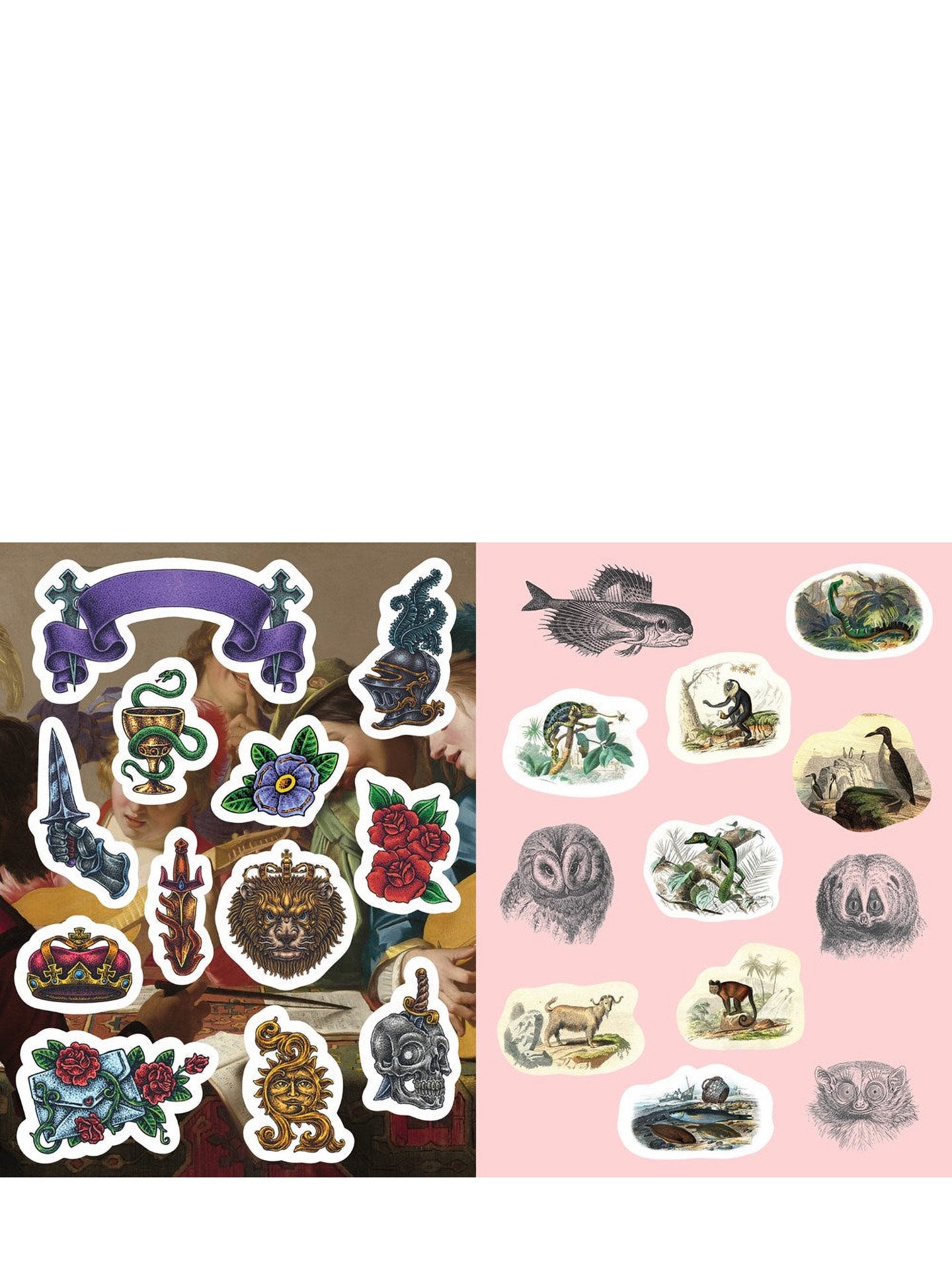 Oddities & Curiosities sticker and activity book