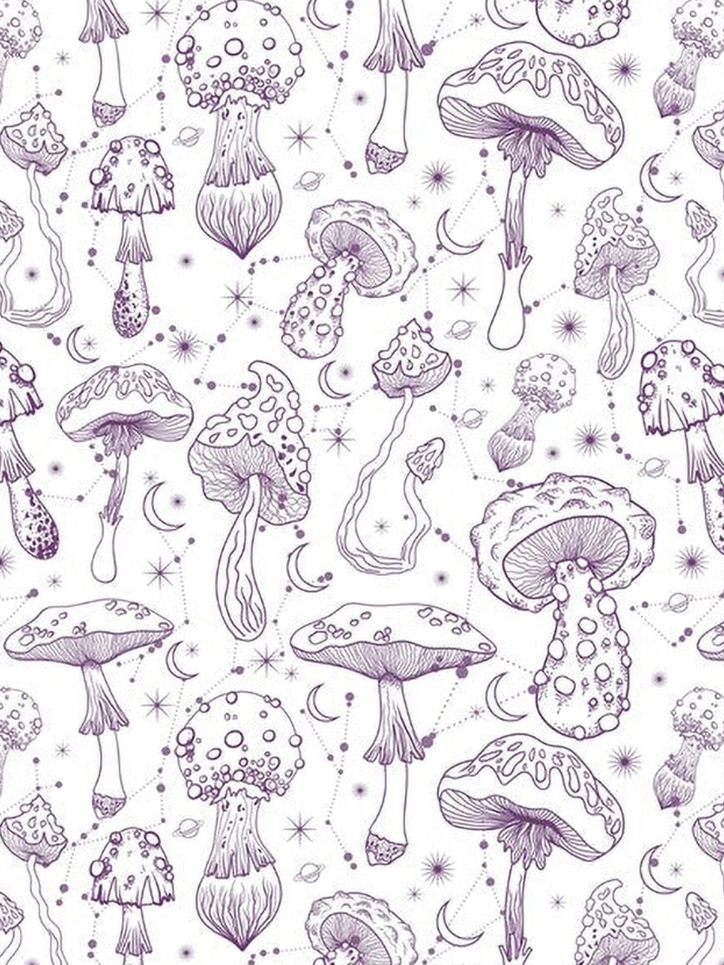 Oddities & Curiosities sticker and activity book