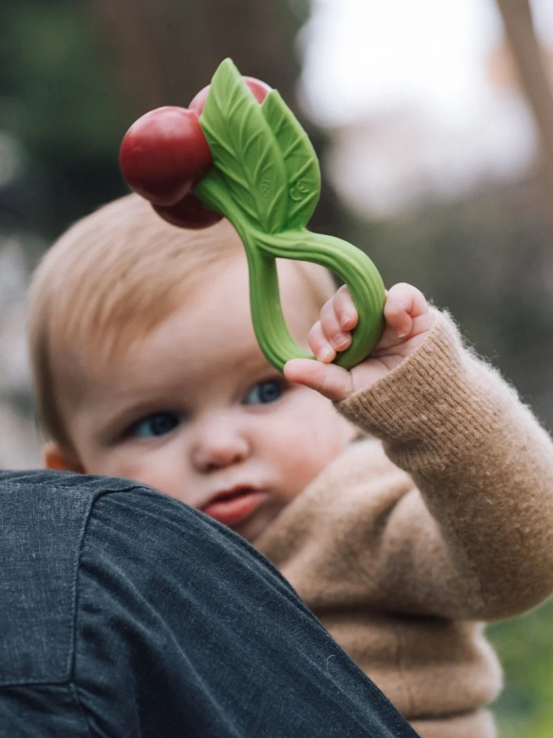 Cherry rattle toy