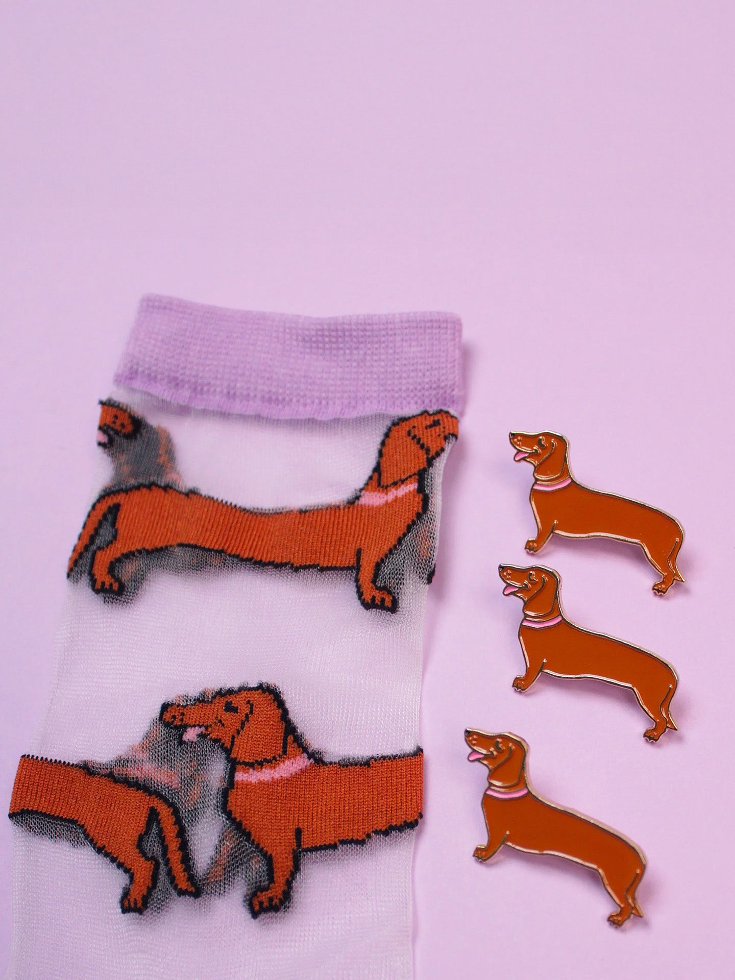 Transparent dachshund socks