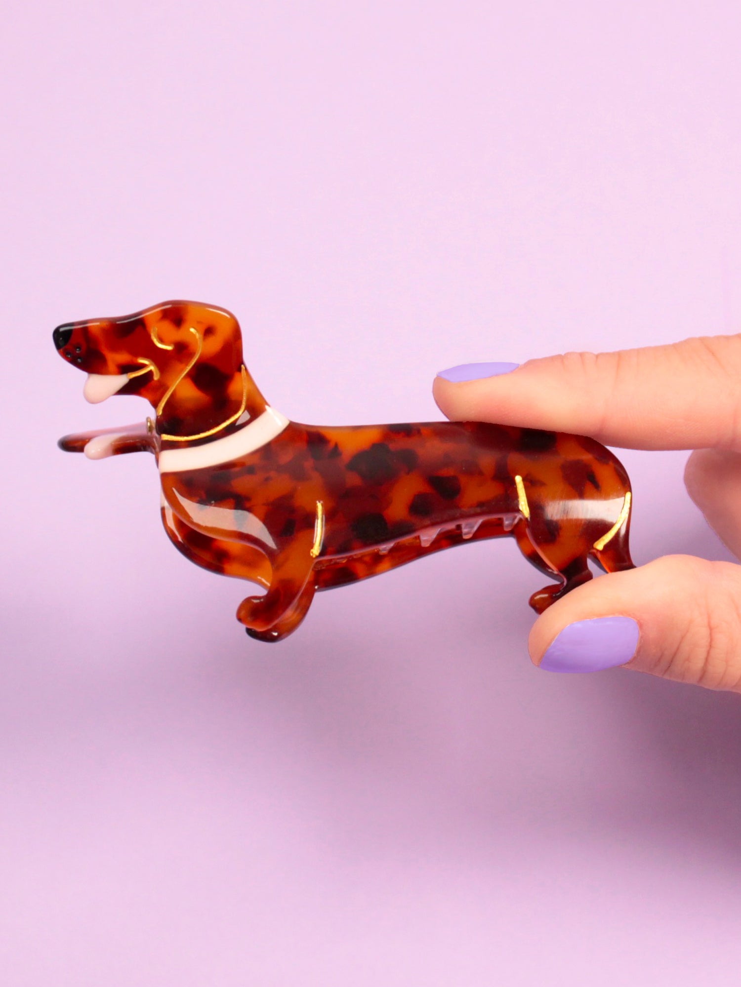 Dachshund Hair claw