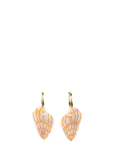 Seashell earrings