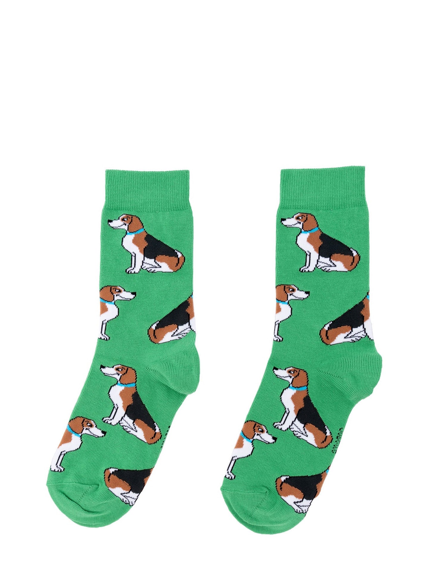 Beagle socks