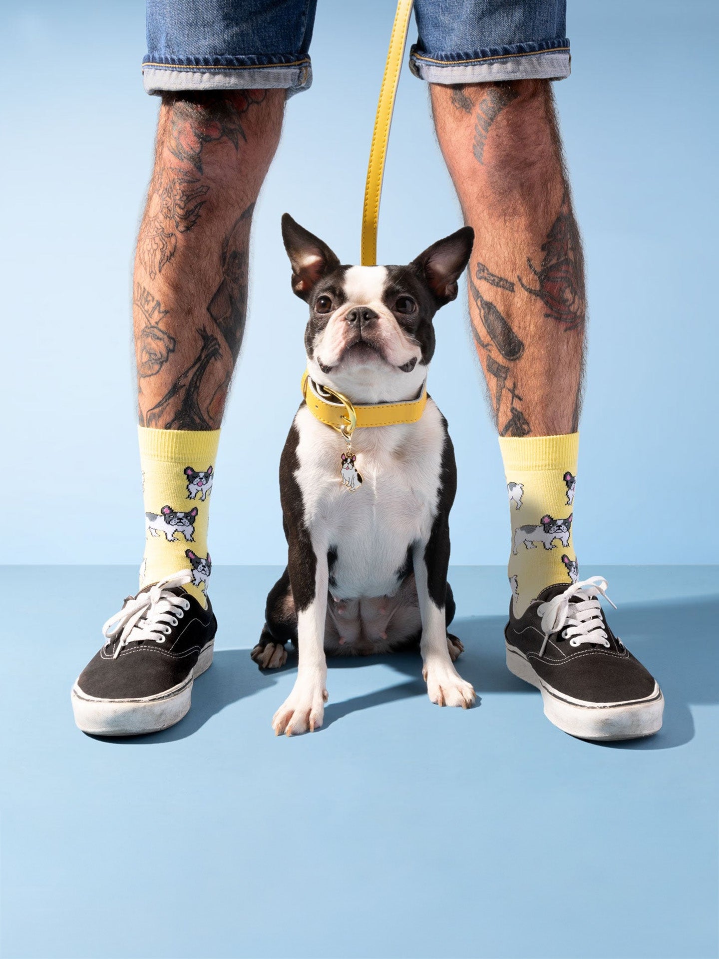 French bulldog socks