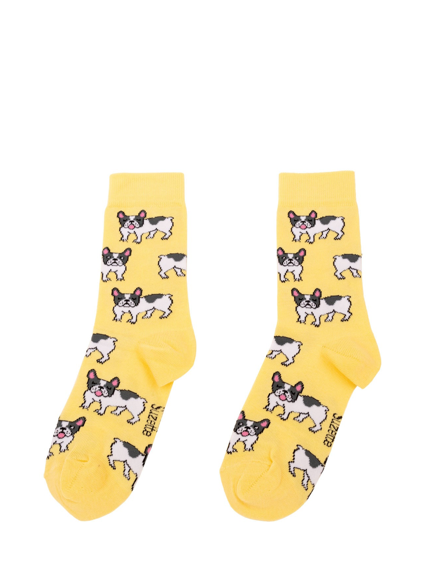 French bulldog socks