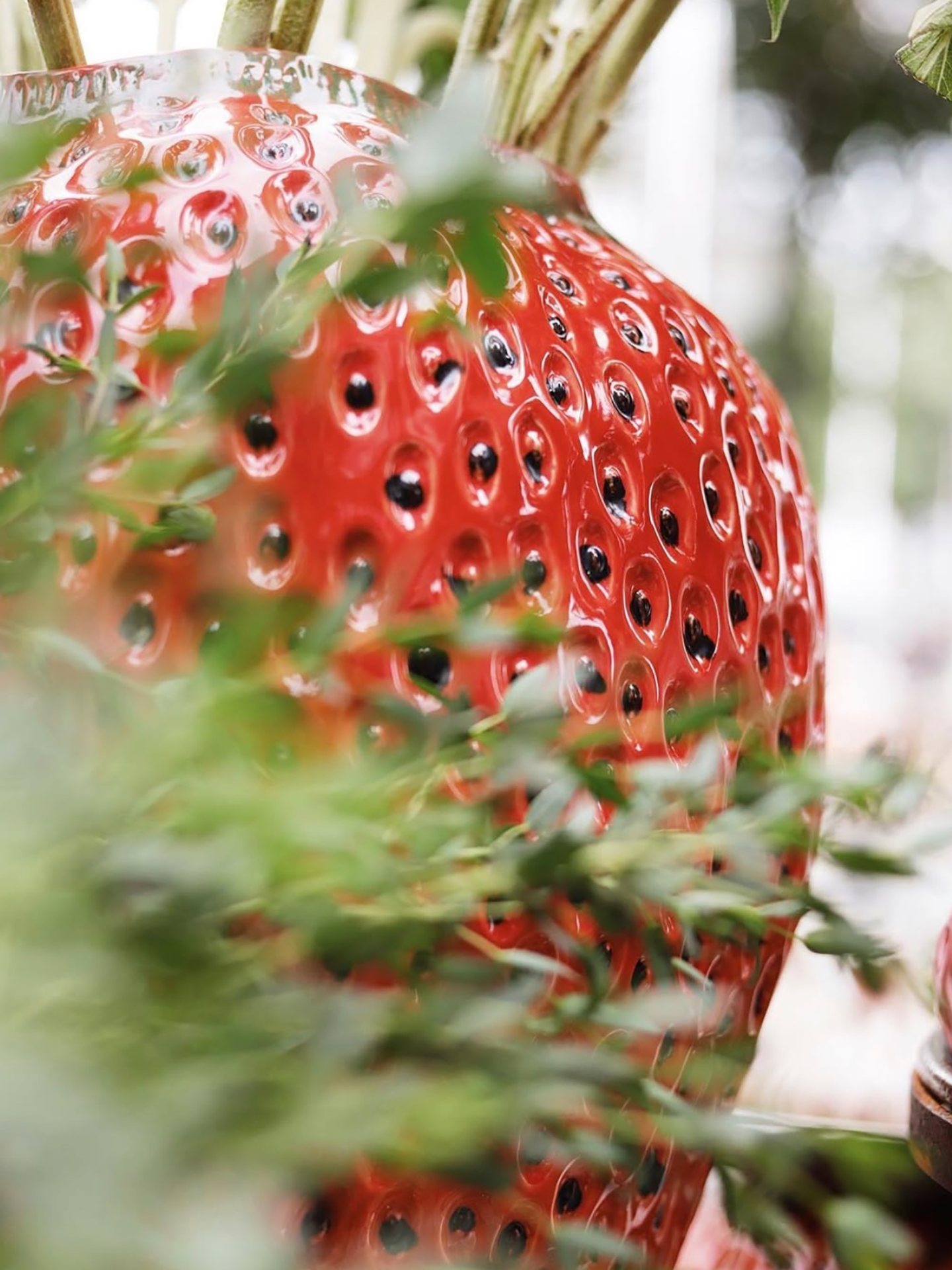 Strawberry vase (H 26cm), 2 colours