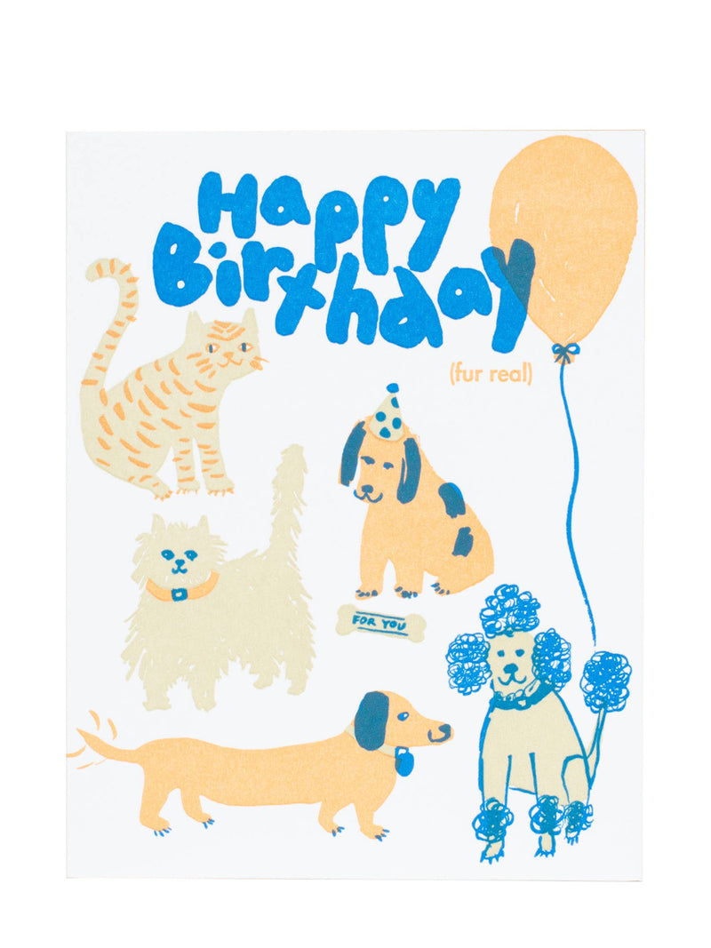 A square greeting card featuring a white background with colorful cartoon pet illustrations and the text 'Happy Birthday (fur real!)' in blue and orange.