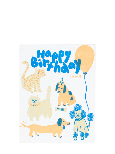 Birthday dog & cat party large birthday card