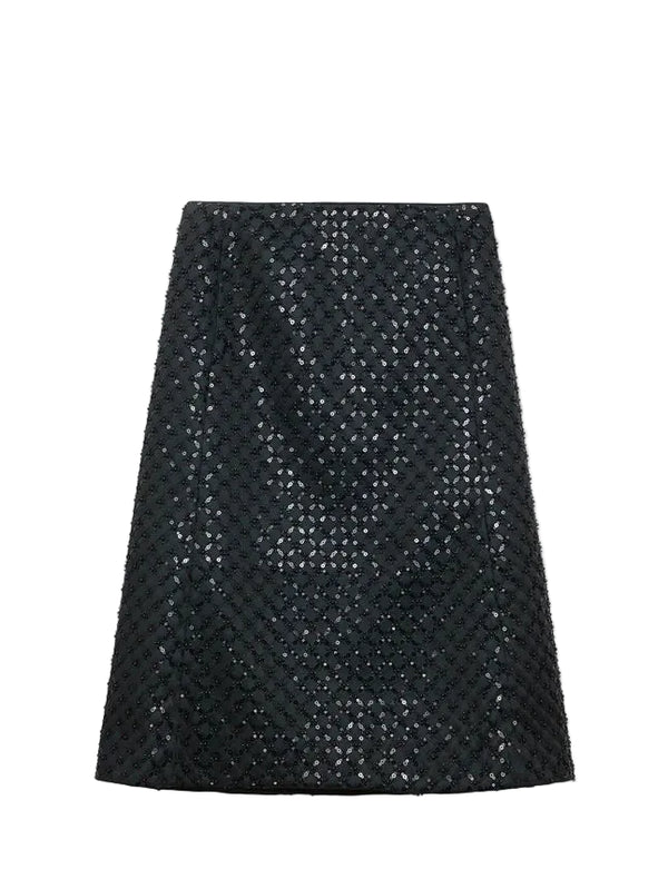 Black sequin skirt on a white background