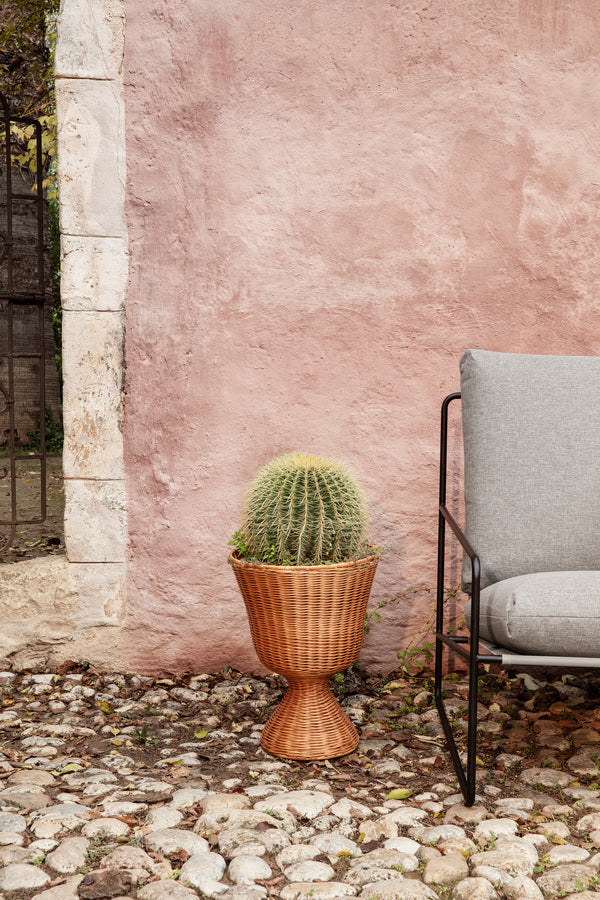 Cactus in a wicker pot against a pink wall with a chair.