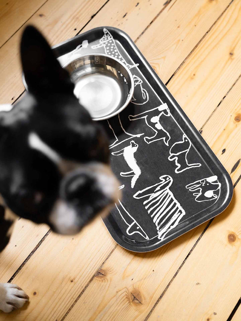 Dogs tray