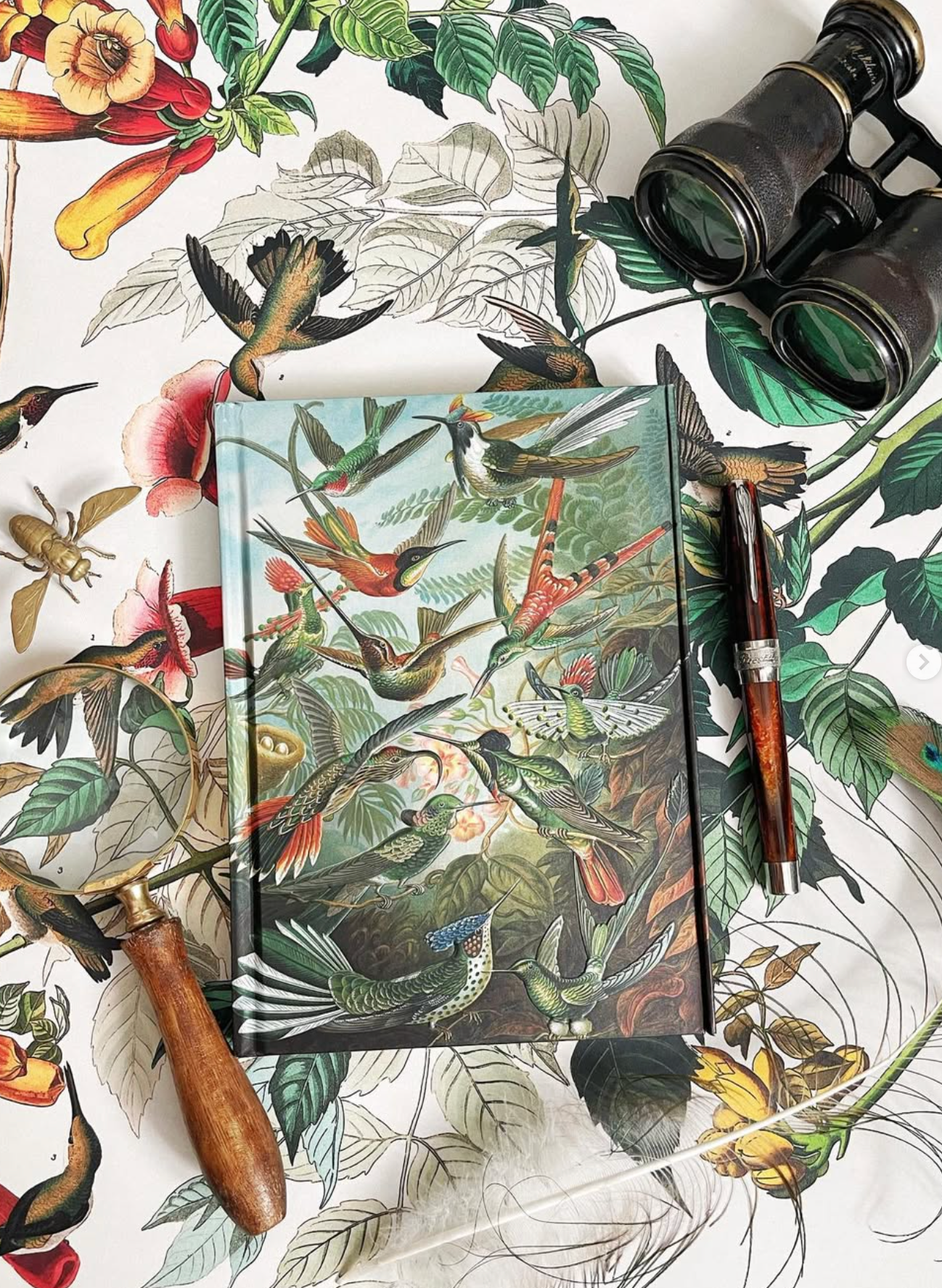 Notebook with bird illustration on a decorative background with binoculars and tools.