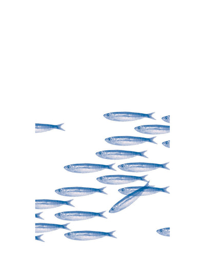 Banc de Sardines dinner napkins (40x40cm)