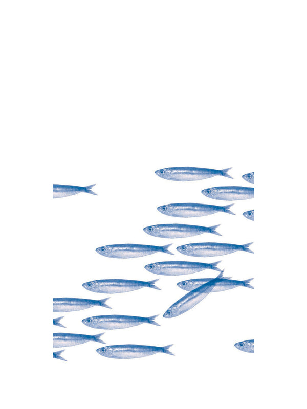 FRANCOISE PAVIOT: Dinner napkins, Banc de Sardines