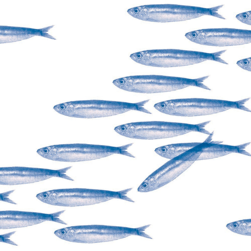 FRANCOISE PAVIOT: Dinner napkins (40x40cm), Banc de Sardines