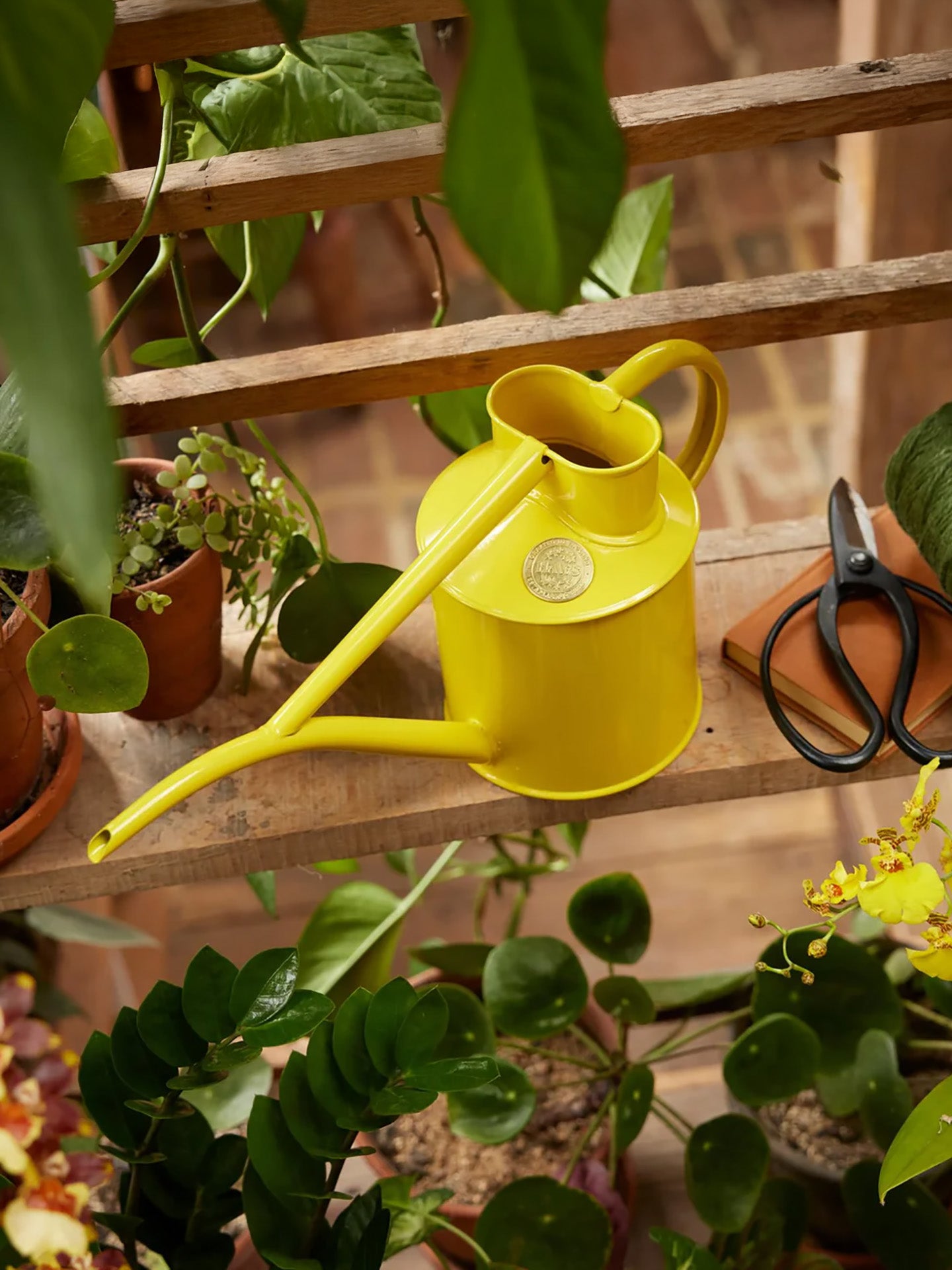 Fazeley Flow watering can, Lotus Yellow (1L)