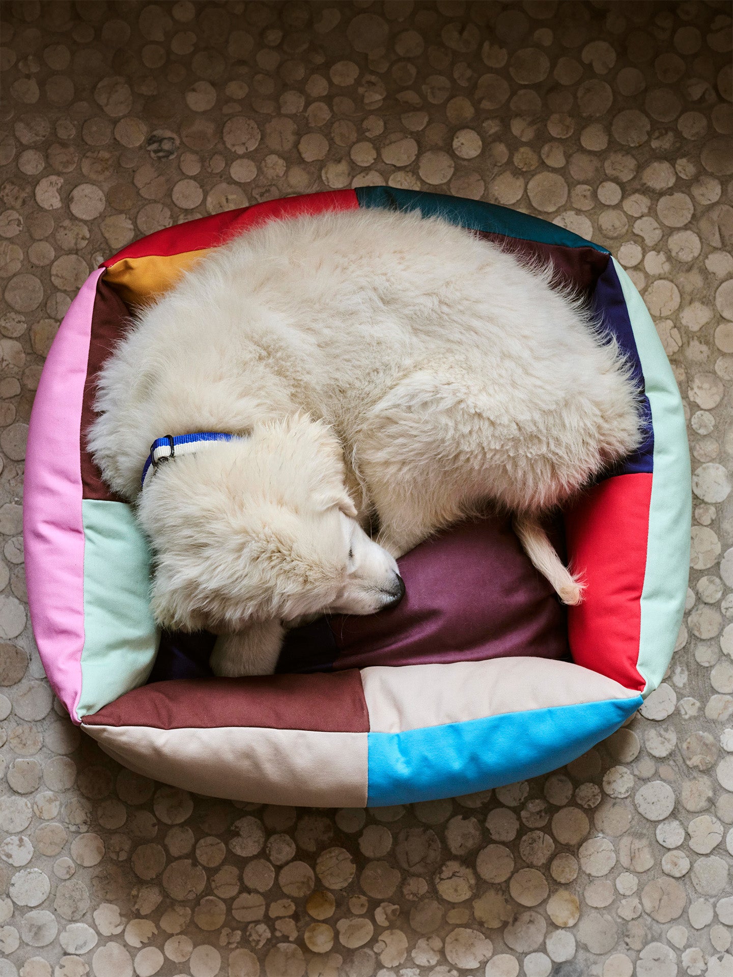 HAY DOGS Bed, Small