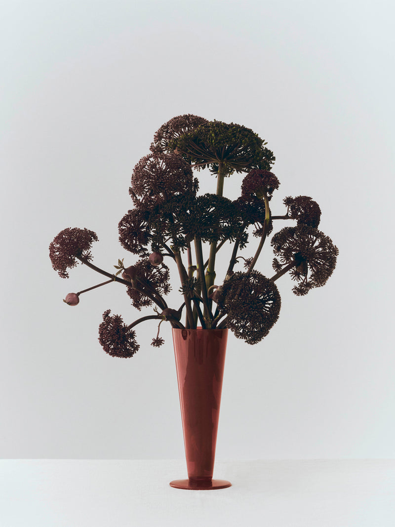 Vase with dried flowers on a white background