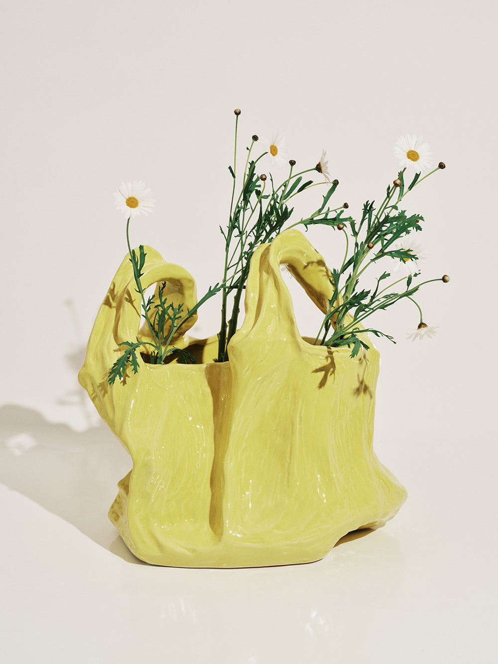 Yellow ceramic bag with plants on a white background