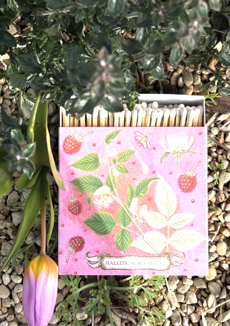 Rose framboise matches