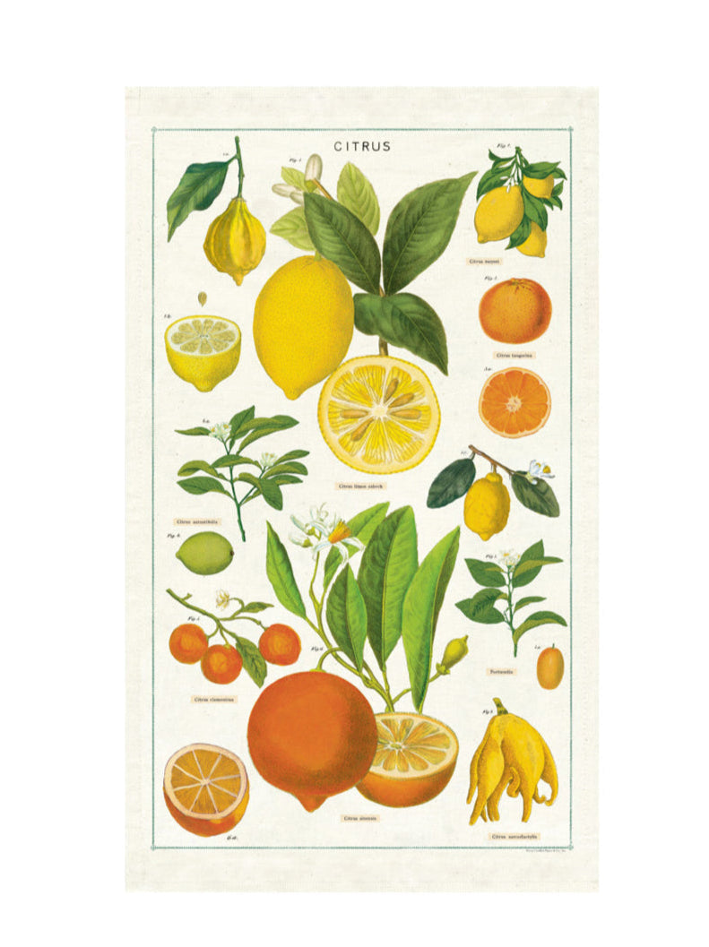 A tea towel with a vintage citrus fruit design, displayed on a white background