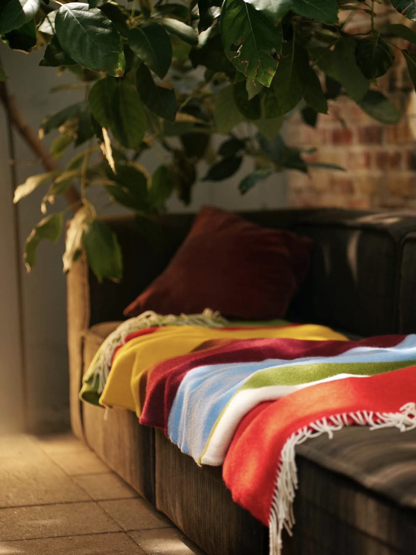 Colorful striped blanket draped over a brown sofa with a plant in the background