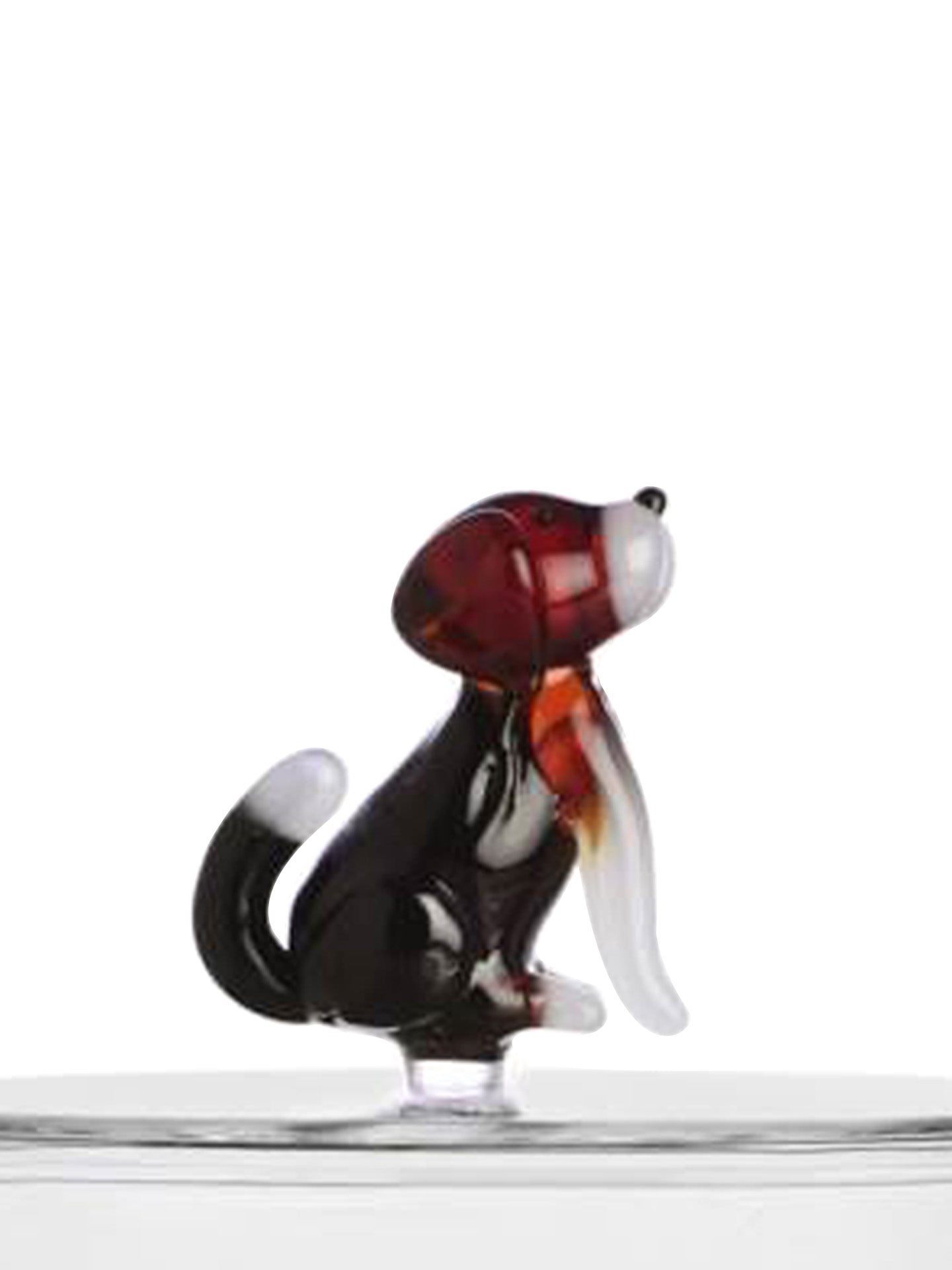 English foxhound box, Dogs collection