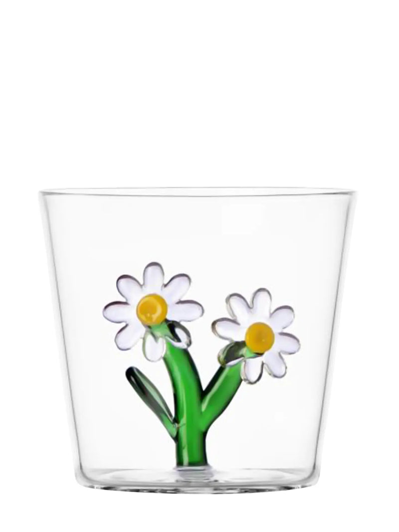 Daisy tumbler, botanica collection