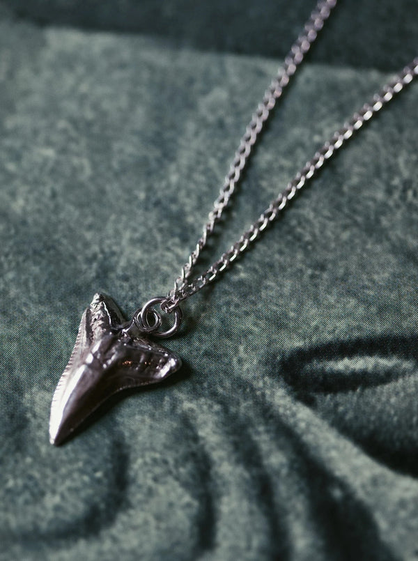 Shark tooth pedant w/40 cm chain