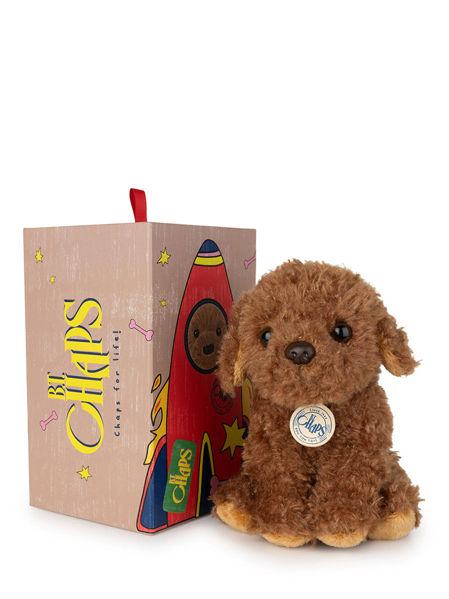 Stacy the Labradoodle in giftbox (17 cm)