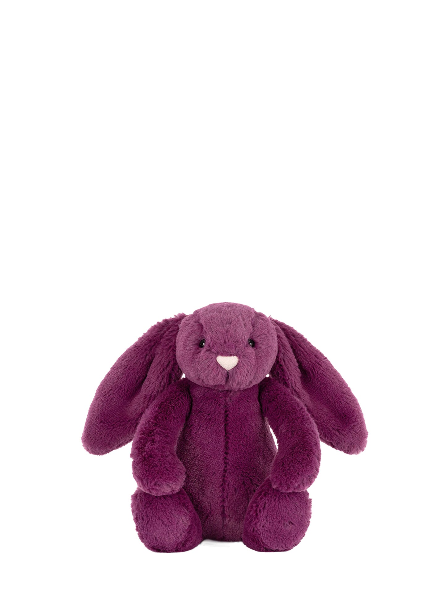Bashful allium bunny, small
