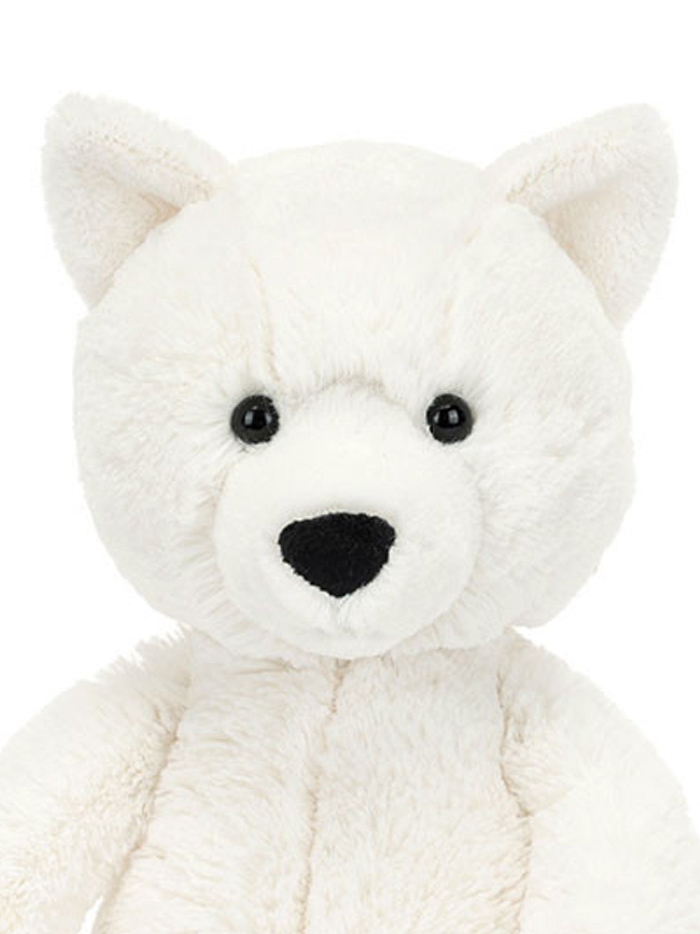 Bashful Arctic Fox, Original