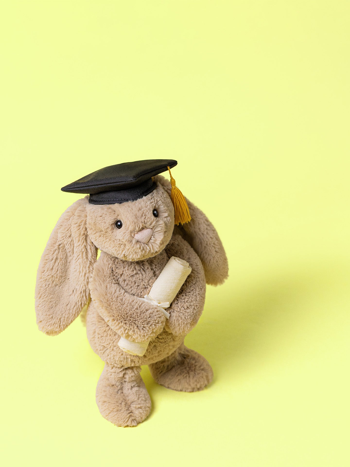 Bashful Bunny Graduation Outfit (31cm)