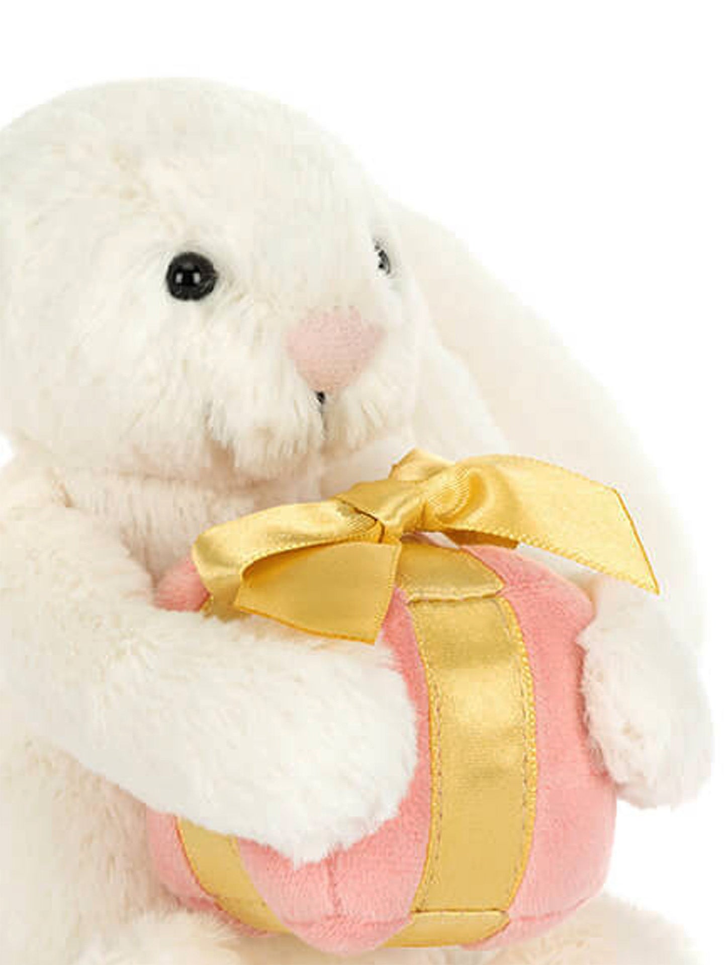 Bashful bunny with a present