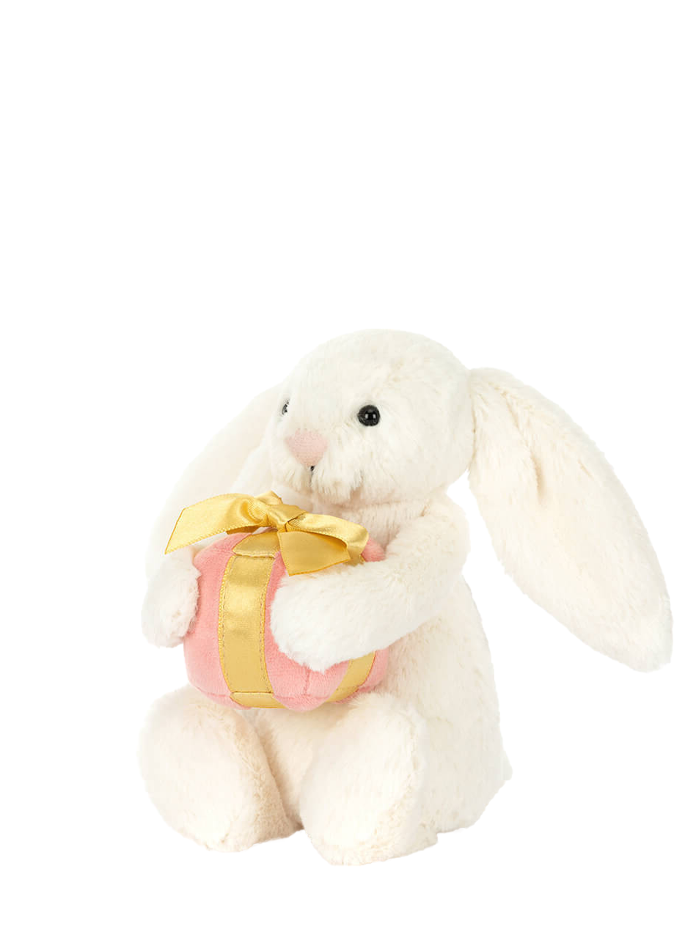 Bashful bunny with a present