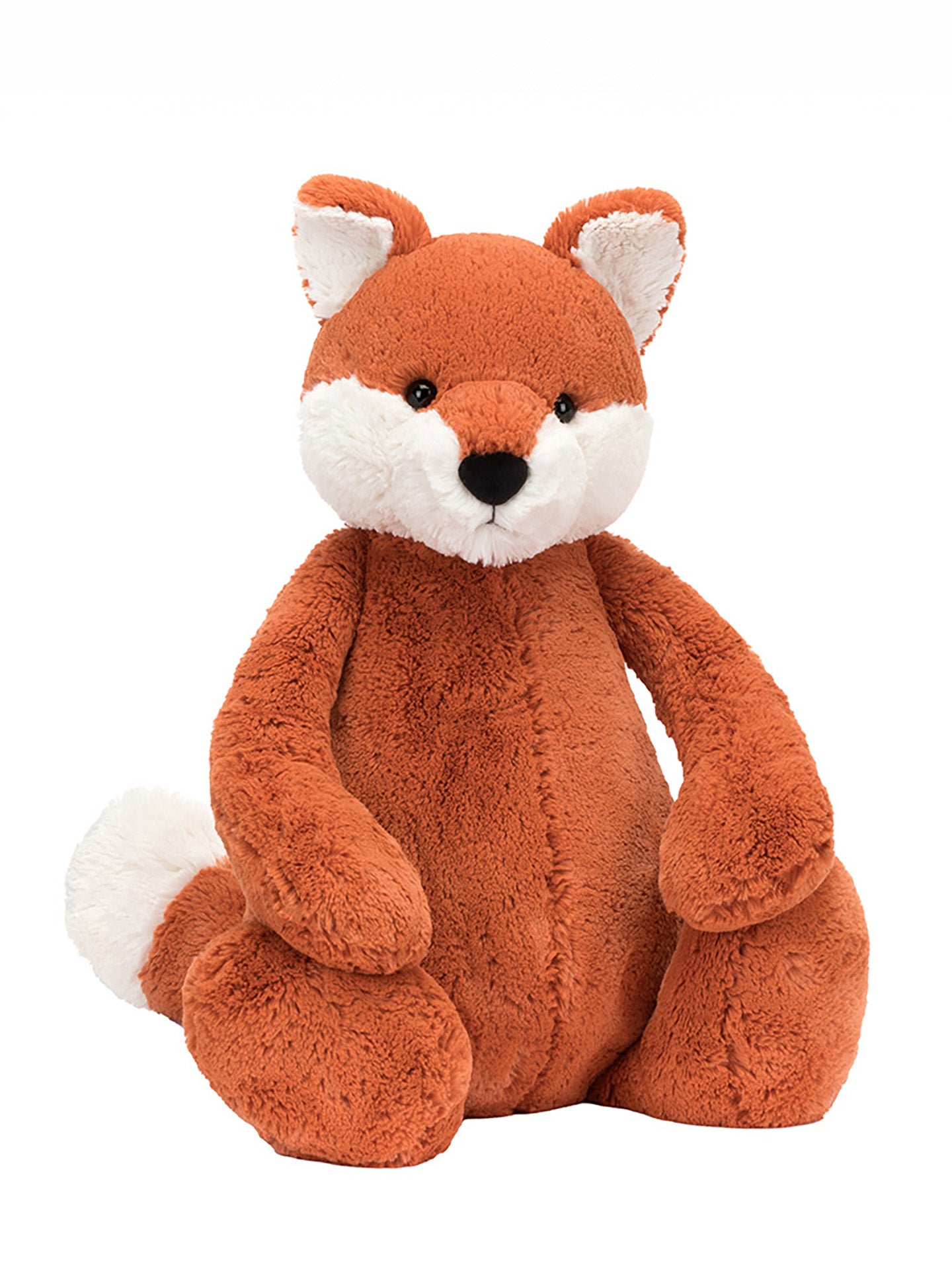 Bashful Fox Cub Really Big