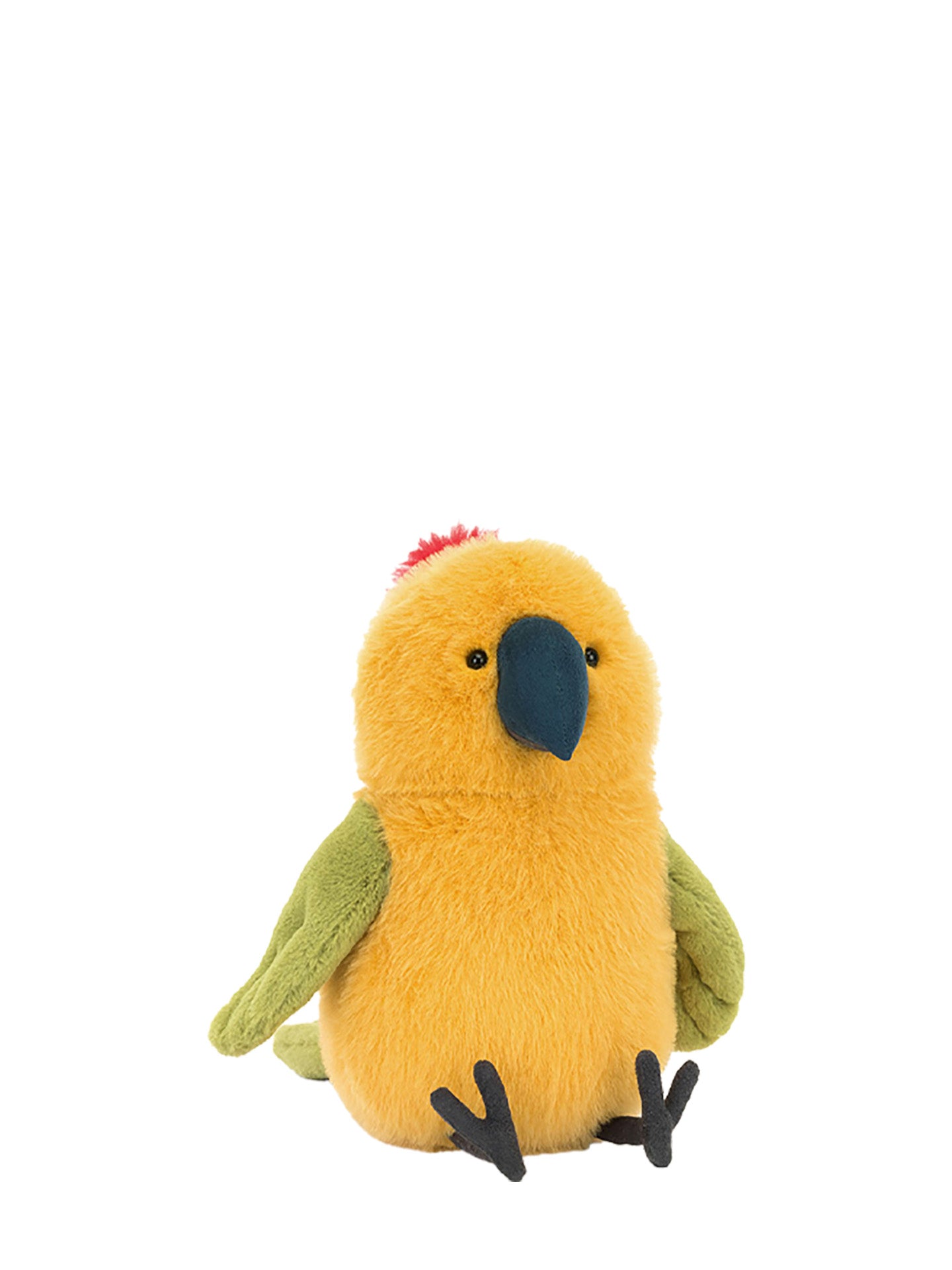 Budgeby Parrot