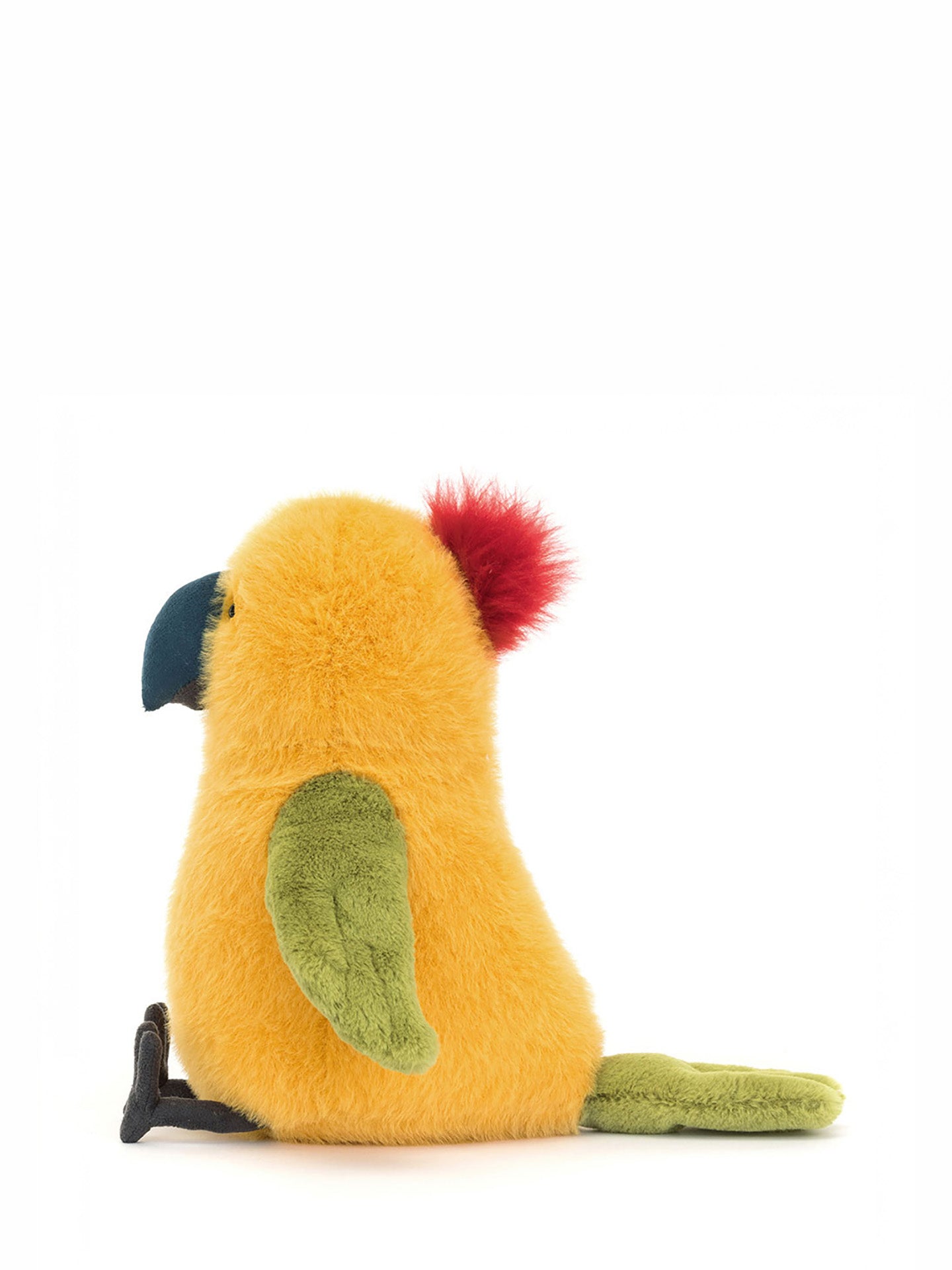 Budgeby Parrot